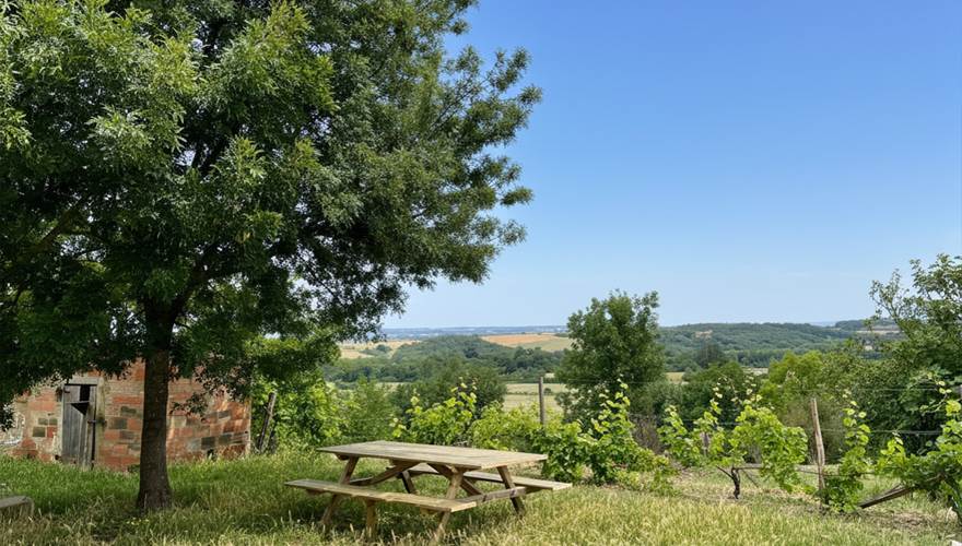 Table extérieure