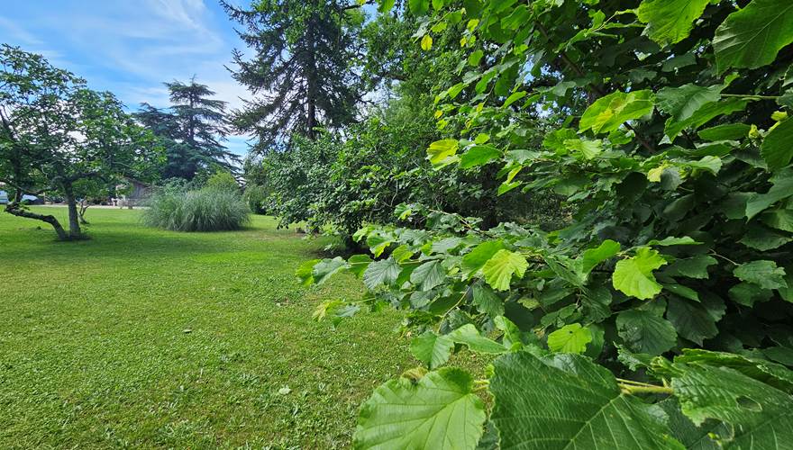 Jardin