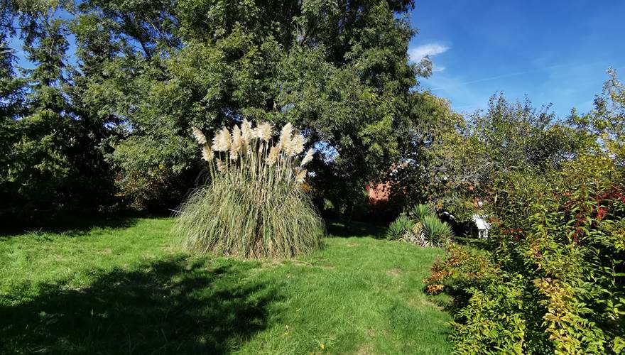 Le jardin Commun du Clos verdonnais