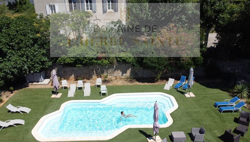 Vue avec un drone Piscine Herbe Sainte Gazon synthétique