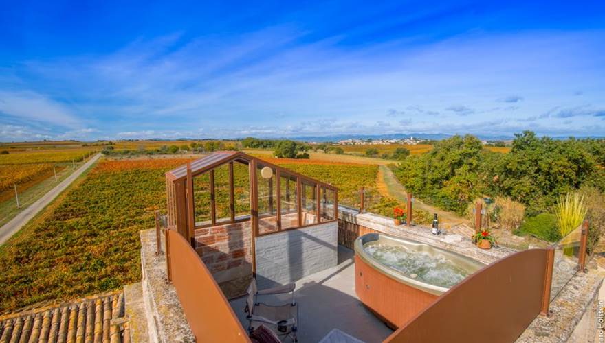 Jacuzzi privée vue sur le vignoble