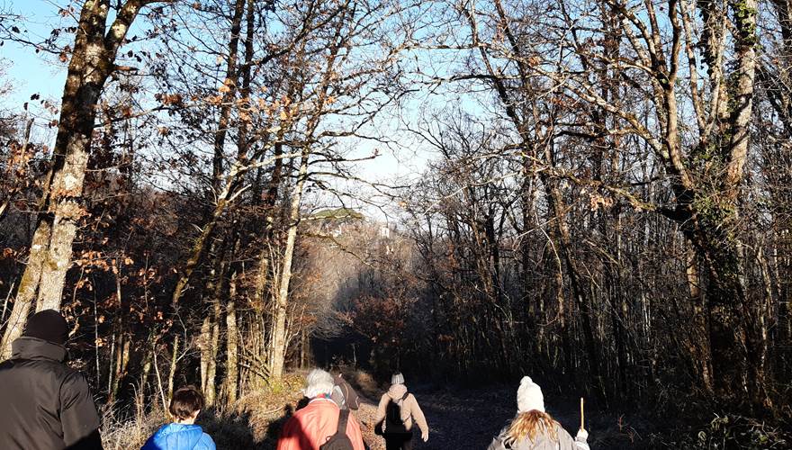 En route pour une visite forestière hivernal