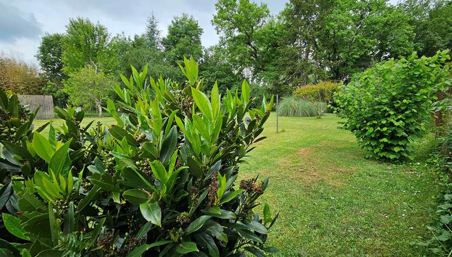 Jardin