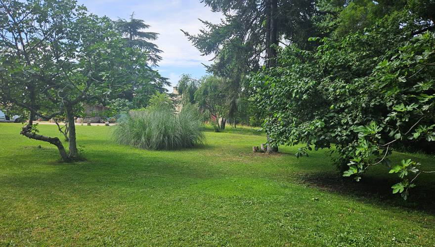 Jardin