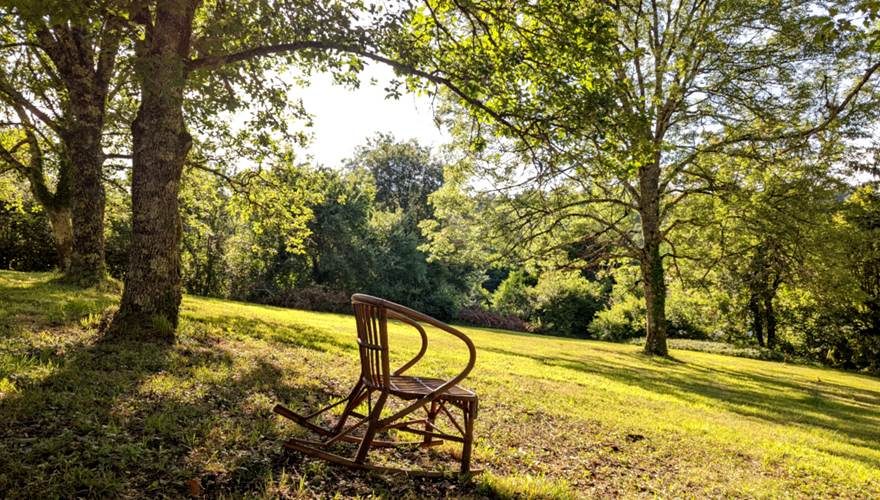 Dans le parc ombragé naturellement