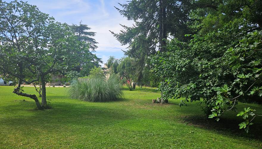 Jardin