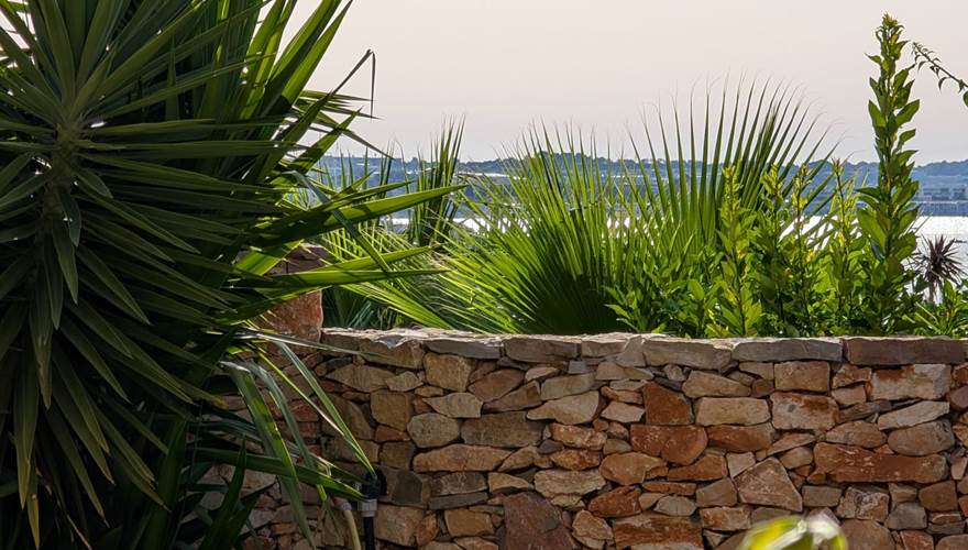 jardin