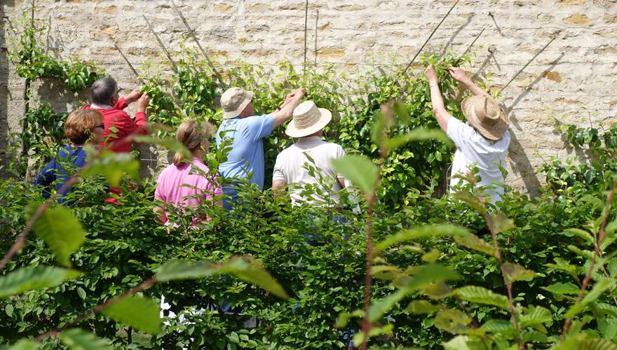 GROUPE EN FORMATION