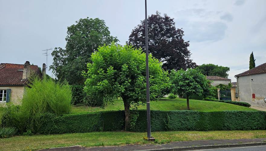Vue