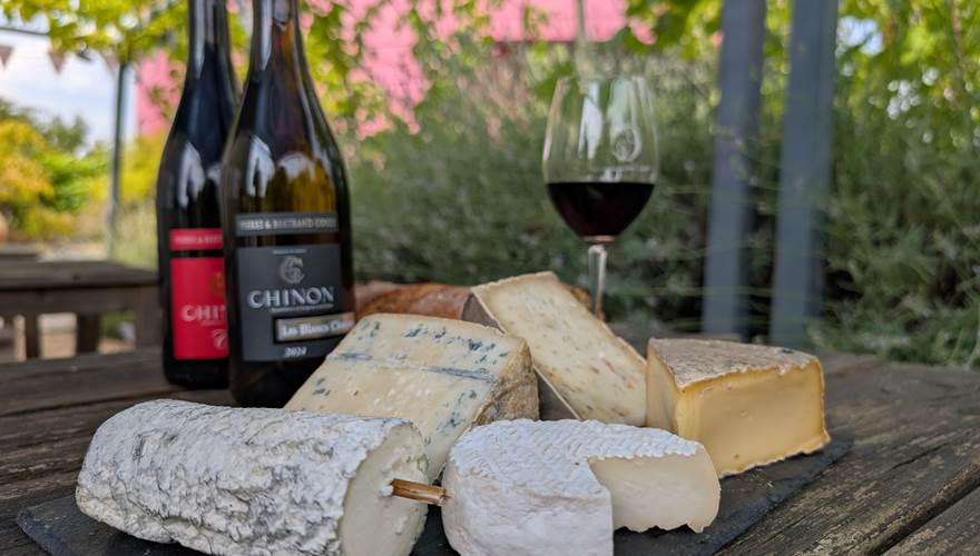 Dégustation en accord vins fromages