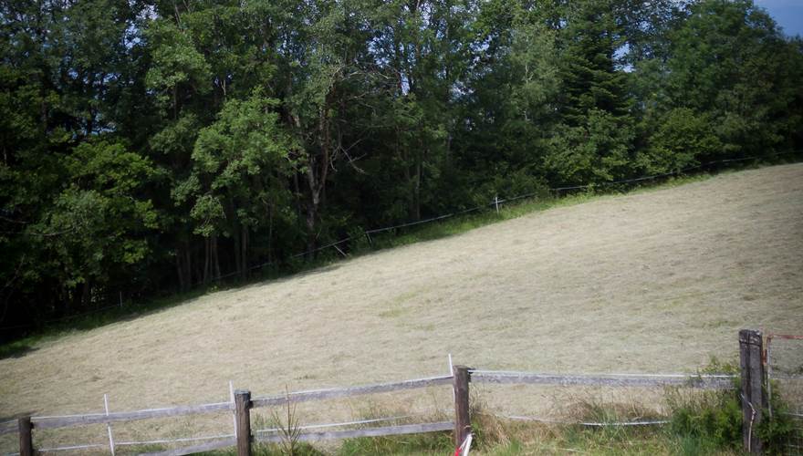 Photofab-136