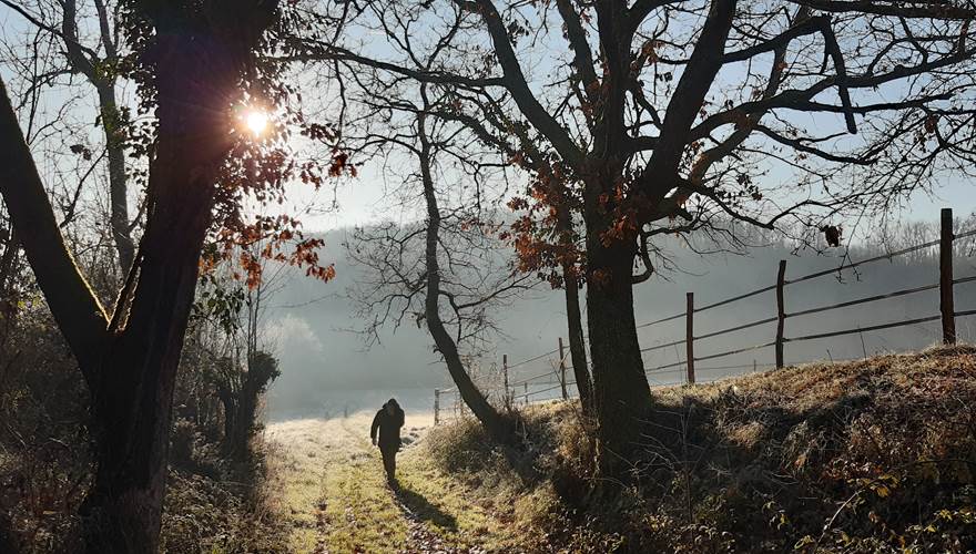 De retour des bois