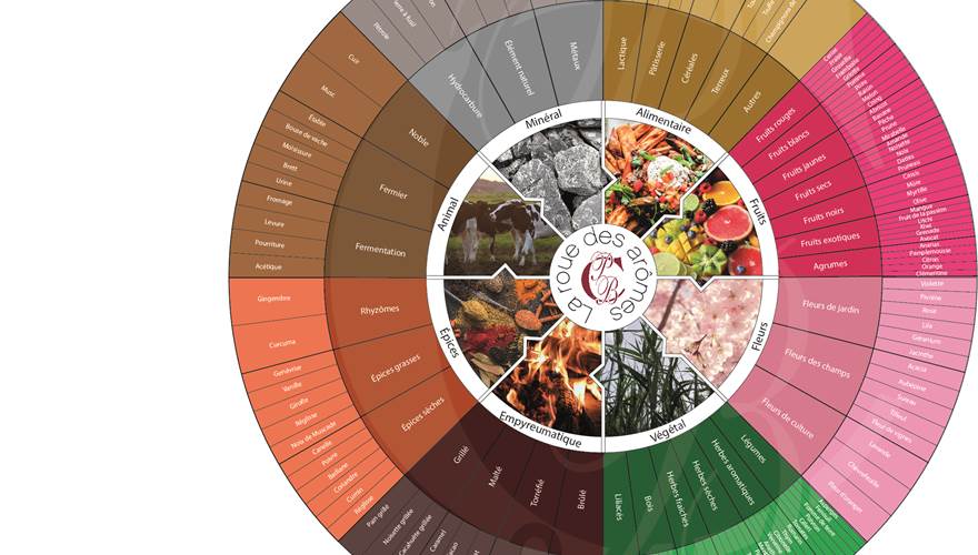 Roue des saveurs