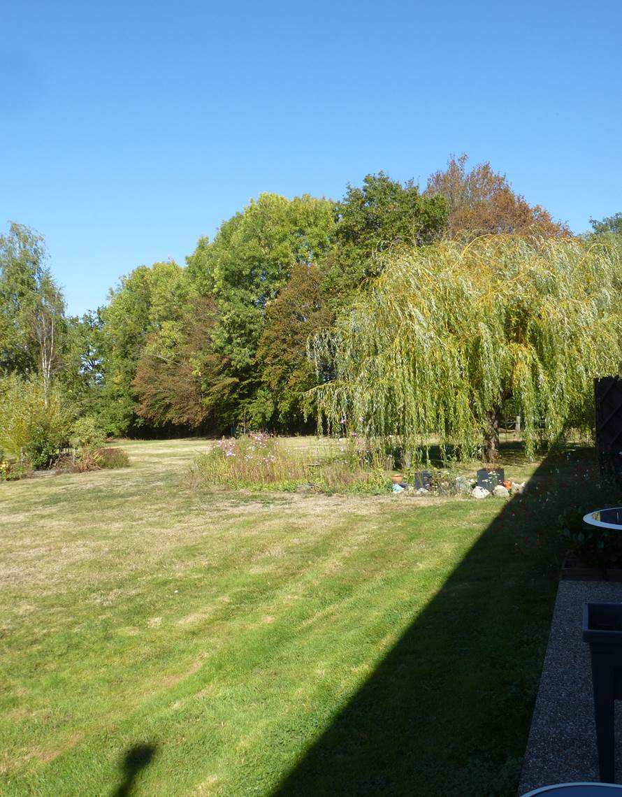 View from the patio areas at the back of the gites-photo-contact