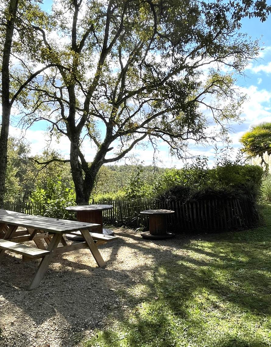 IMG_4534-photo-contact