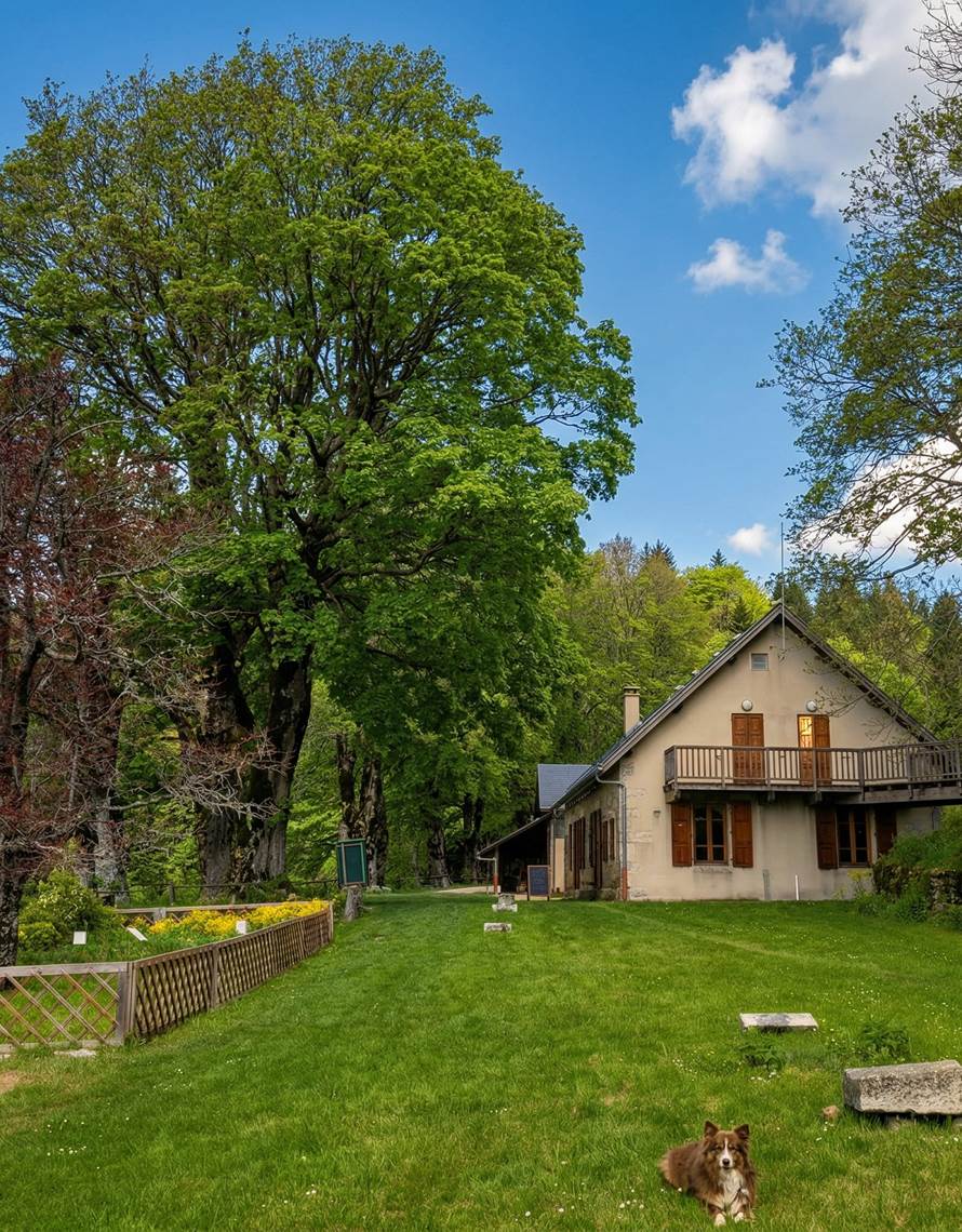 jardin-photo-contact