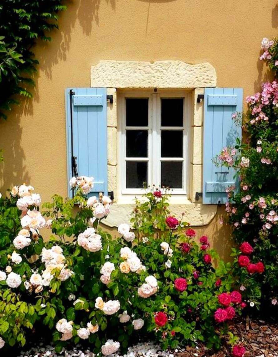 MM3_ShuttersCC-photo-contact