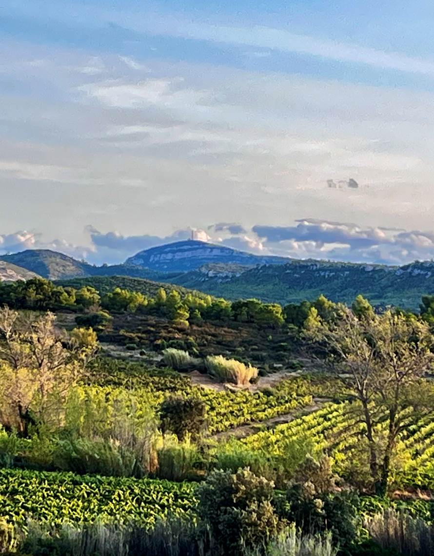 randonnée VTT à proximité-photo-contact