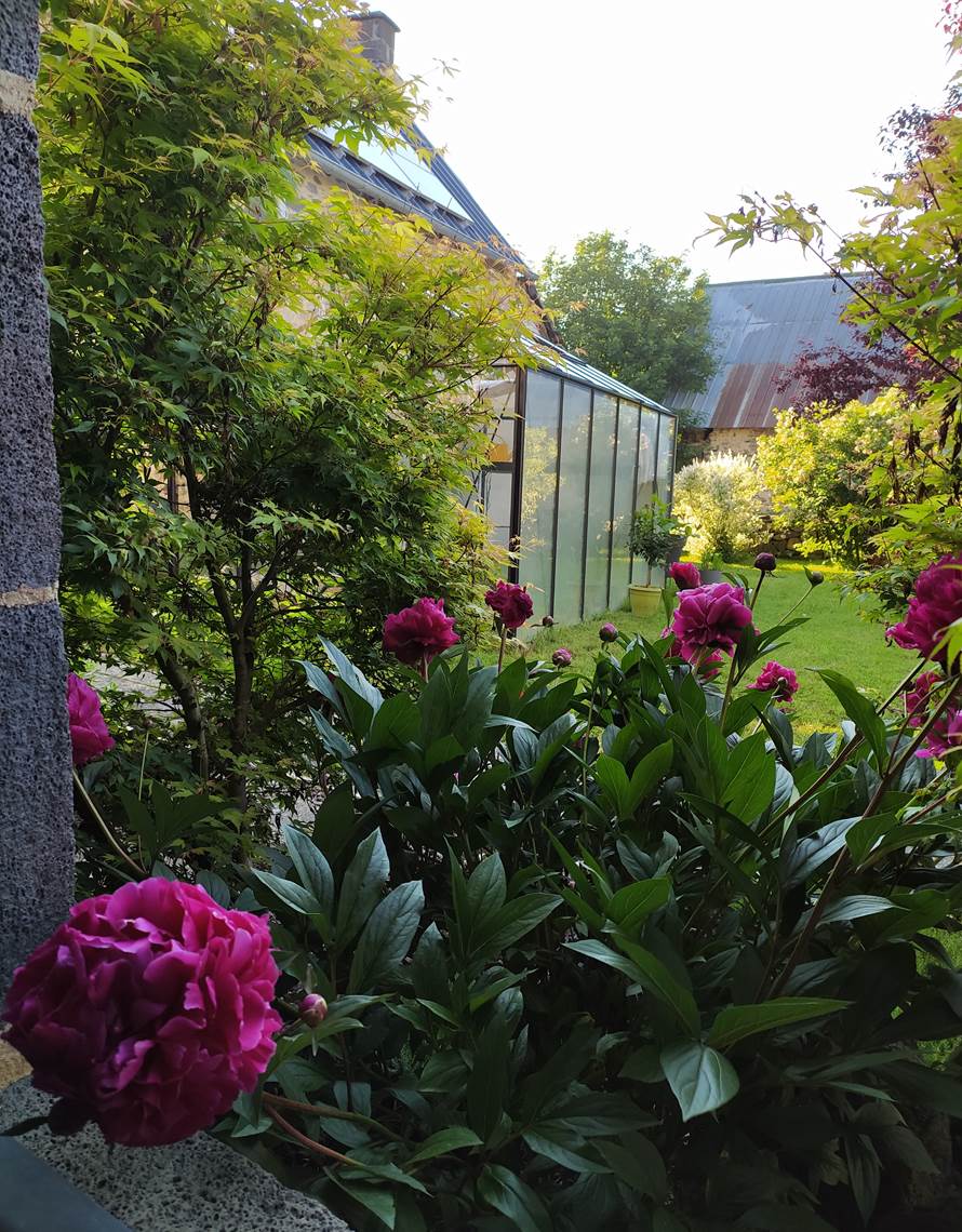 IMG_20210611_075739-photo-contact