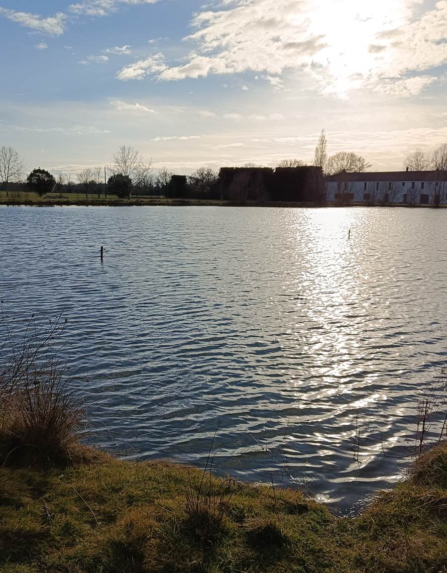 Notre domaine en pleine nature-photo-contact