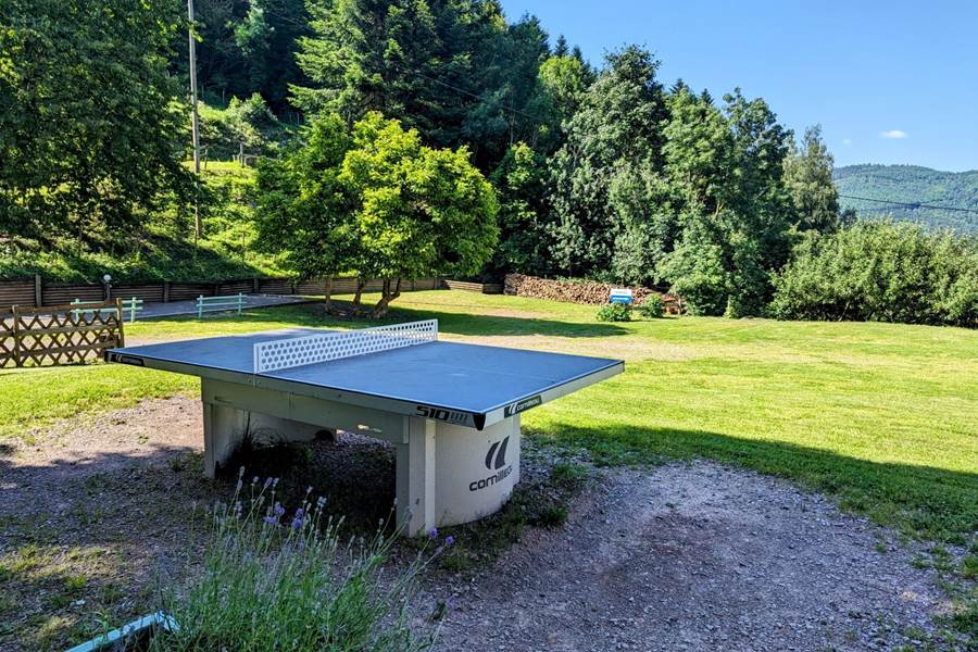 Gites-de-groupe-alsace-vosges-chalet-jardin-ping-pong