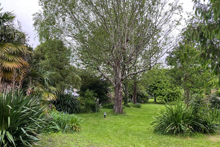 Sans titre-photo-page