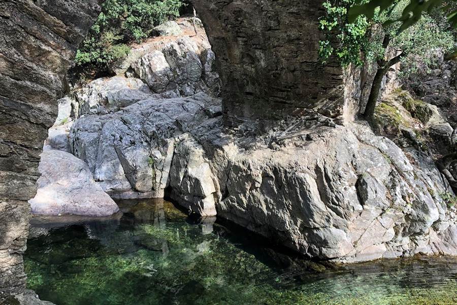 Le rossignol des murailles-Gorges d'Héric