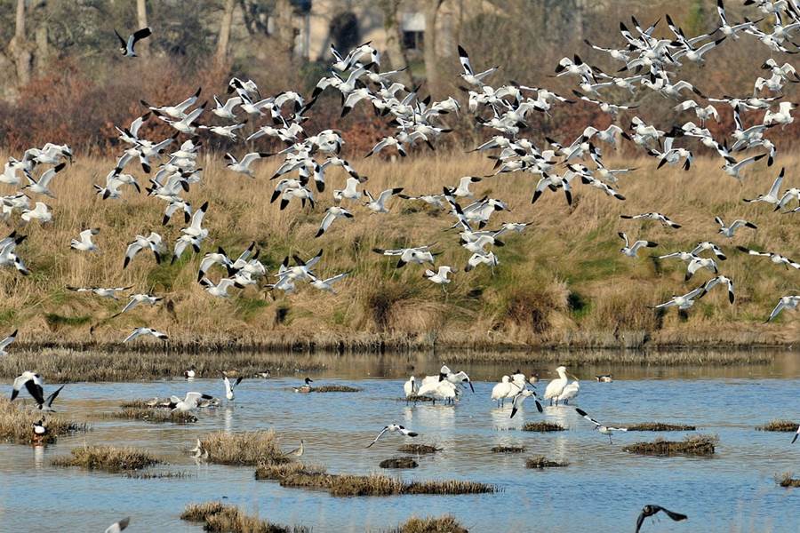 Sans titre-photo-page