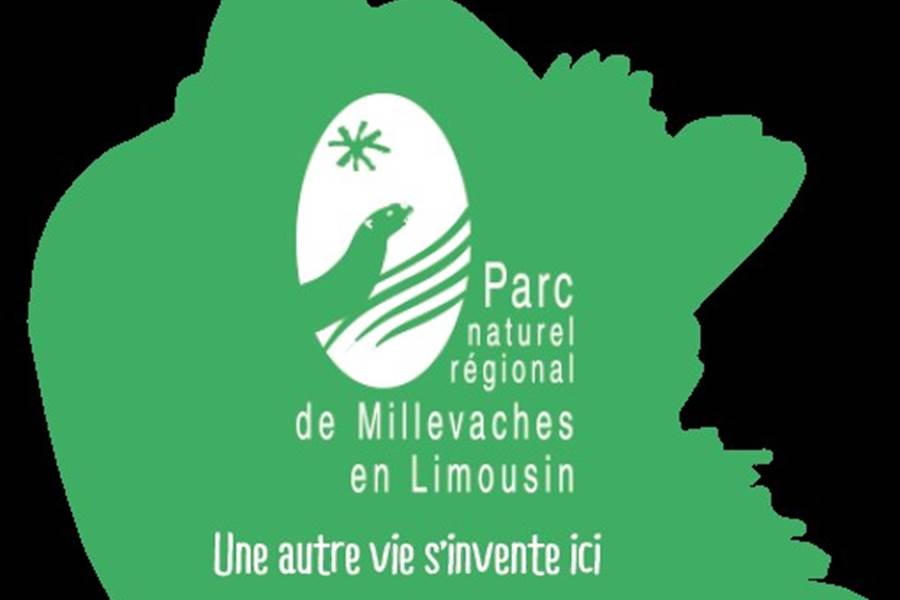 Sans titre