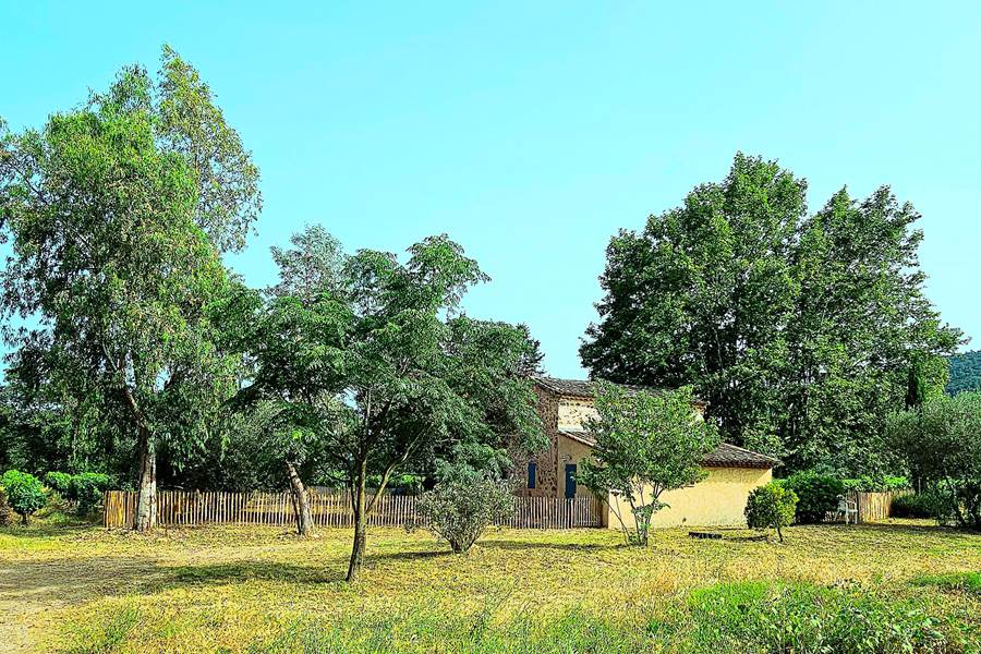 VIGNOBLE LE PLATANE