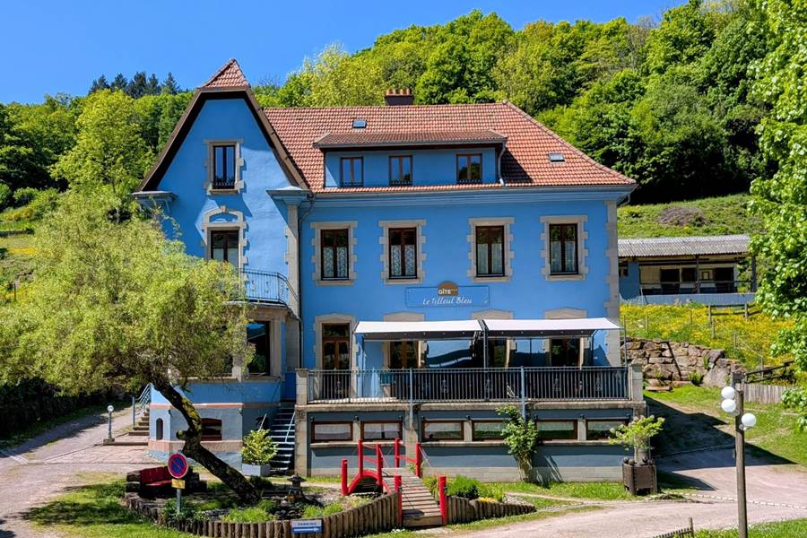 Gite-de-groupe-alsace-vosges-chalet-facade-tilleul-bleu