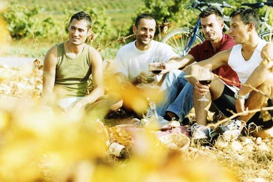balades a vélo dans le vignoble et visites de caves-photo-page