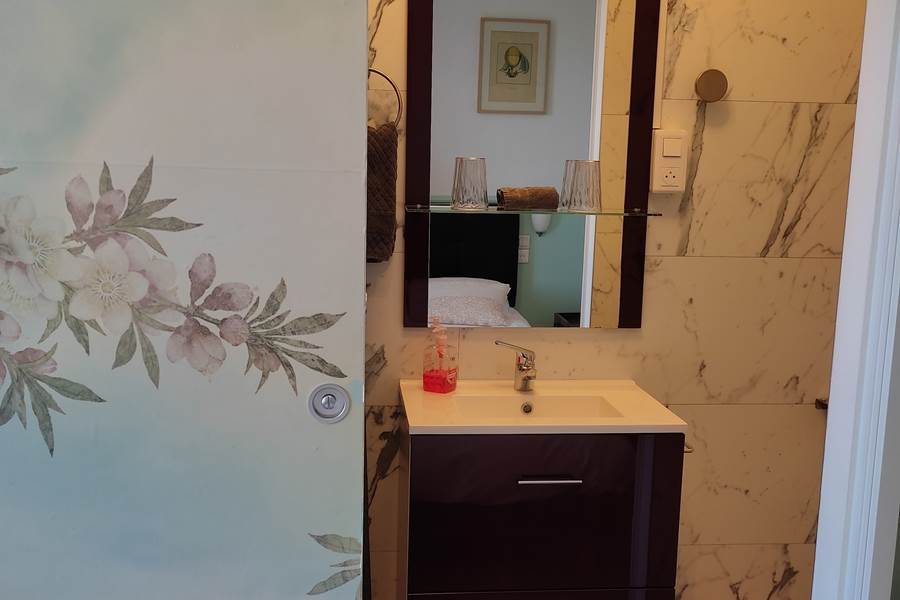Chambre 7 meuble vasque.
