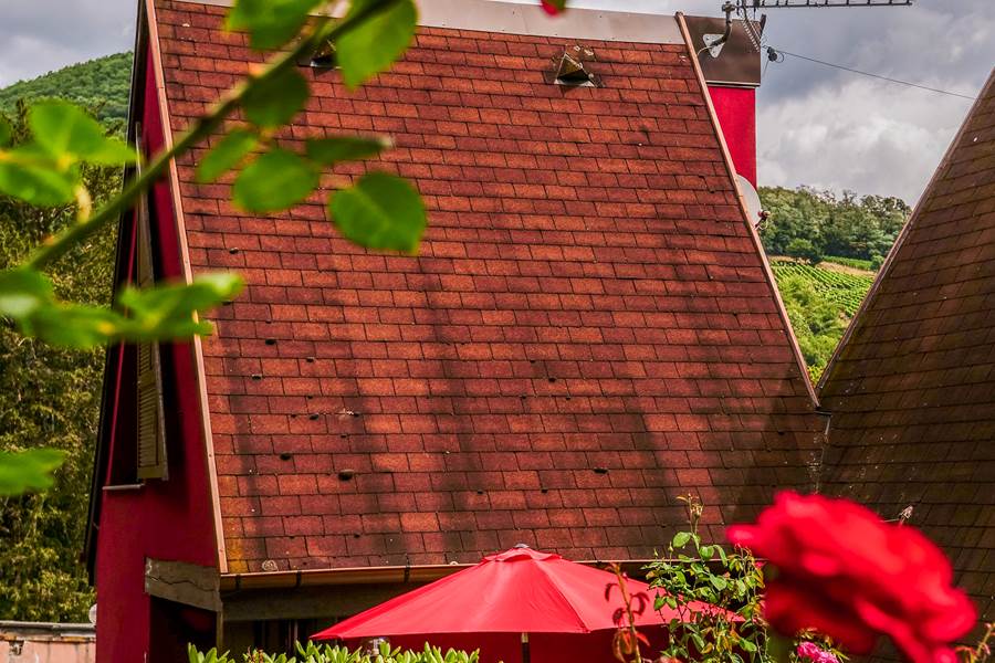Le pavillon en été dans son cadre très verdoyant et fleuri