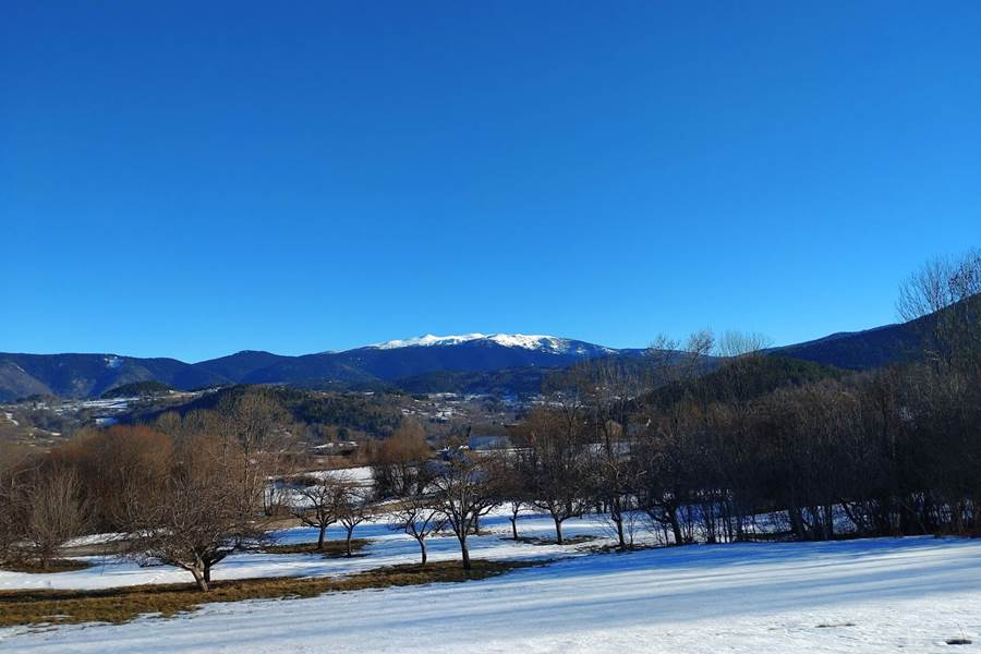 Sans titre-photo-page