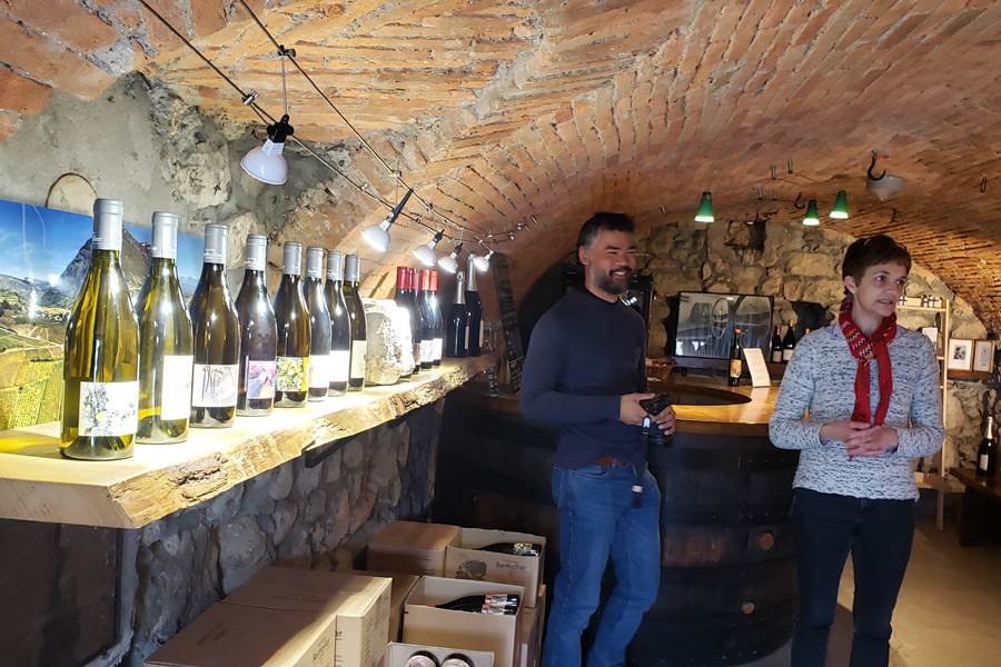 Visite et dégustation des vins à la cave