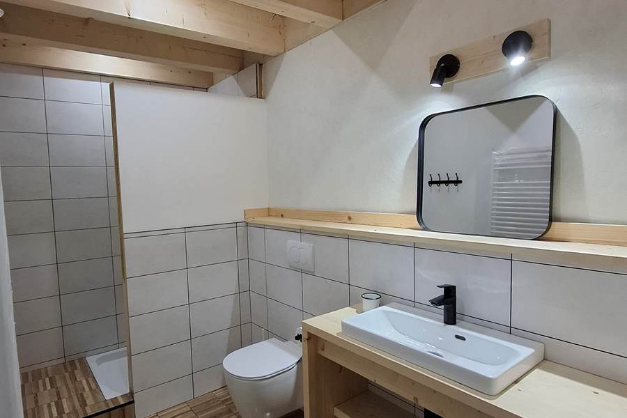 Salle de bain 1 - Douche + wc + lavabo