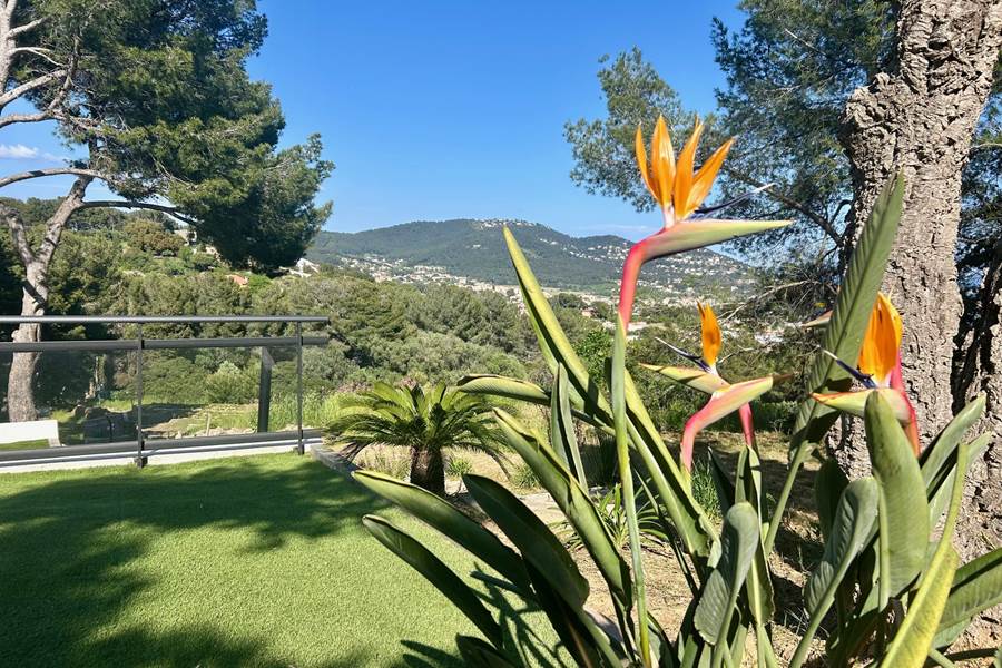 Jardin