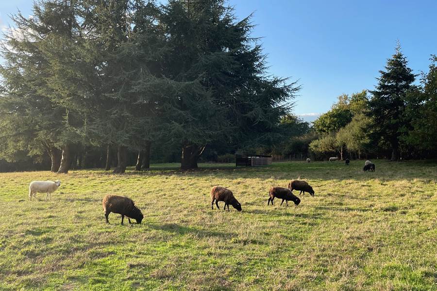 Sans titre-photo-page