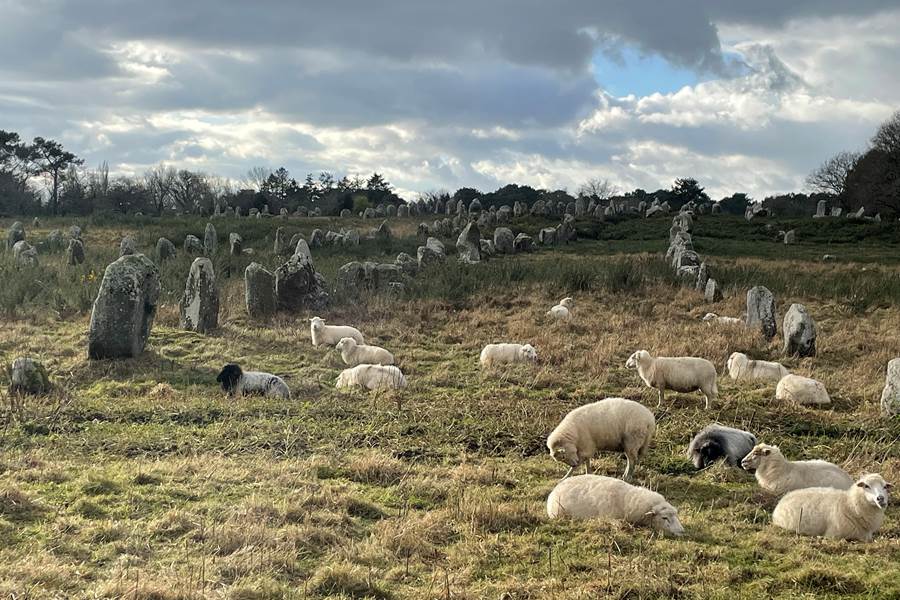 carnac-unesco-megalithes-dolmens-vacances-amis-Morbihan-photo-page