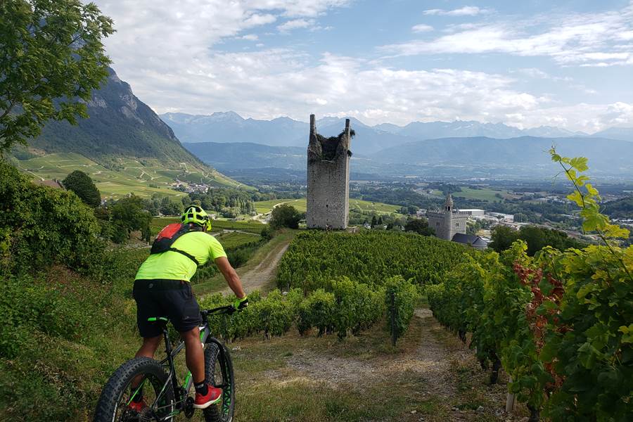 randonnée à vtt électrique dans les vignes