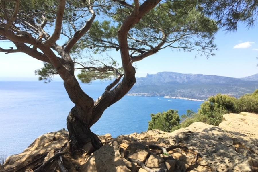 La route des Crêtes entre Cassis et La Ciotat-photo-page