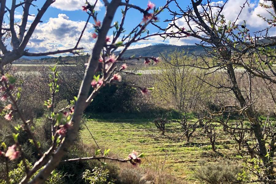 idée week end à faire au printemps-photo-page