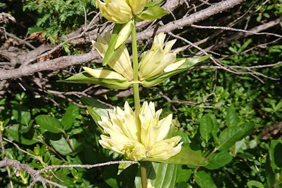 Sans titre-photo-page