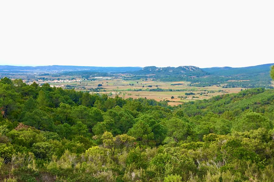 massif de Fontfroide