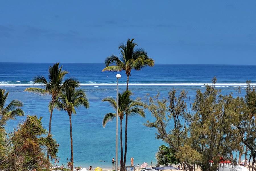 Bienvenue A Montipora