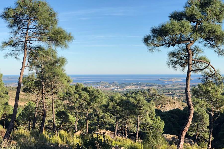 massif de Fontfroide