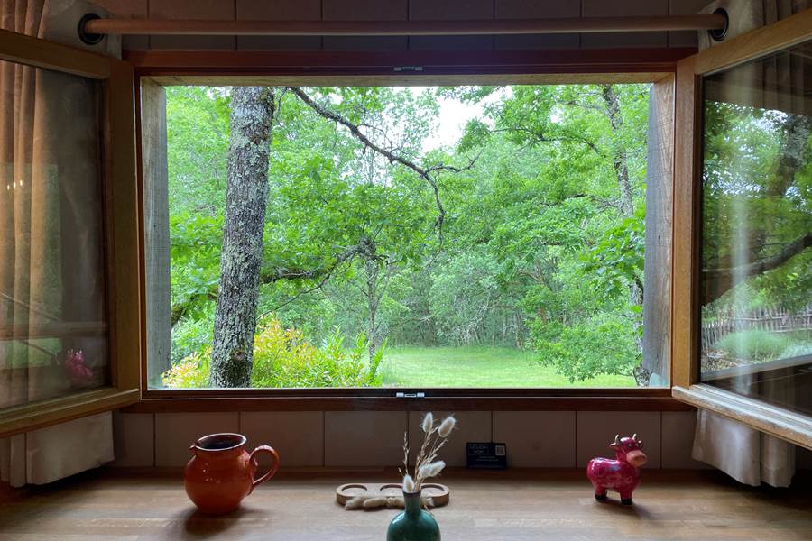Vue depuis la table - Cabane MELEZE