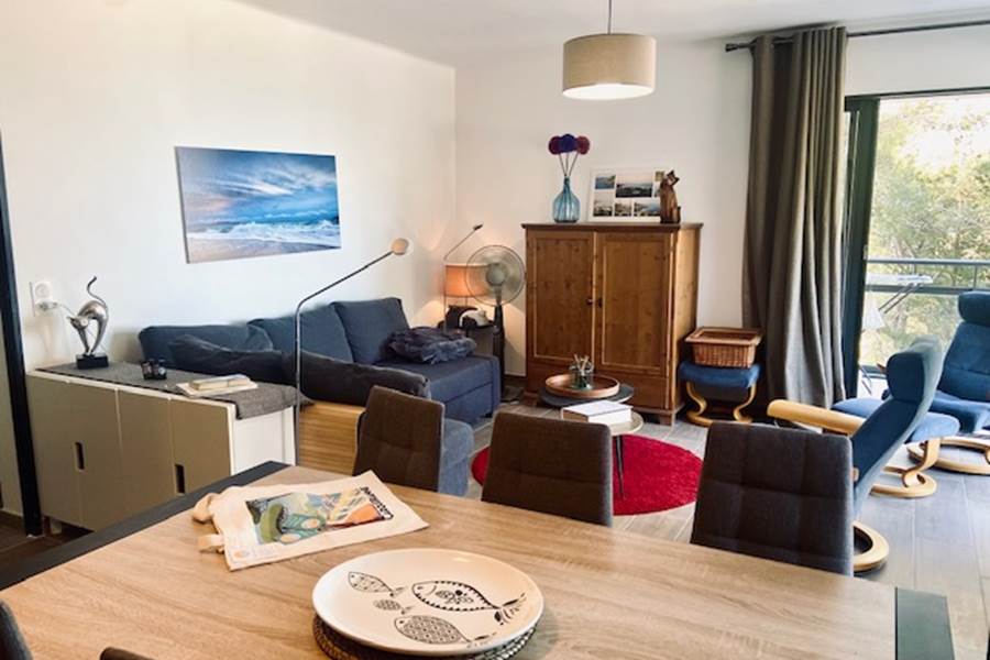 Vaste séjour lumineux-photo-page