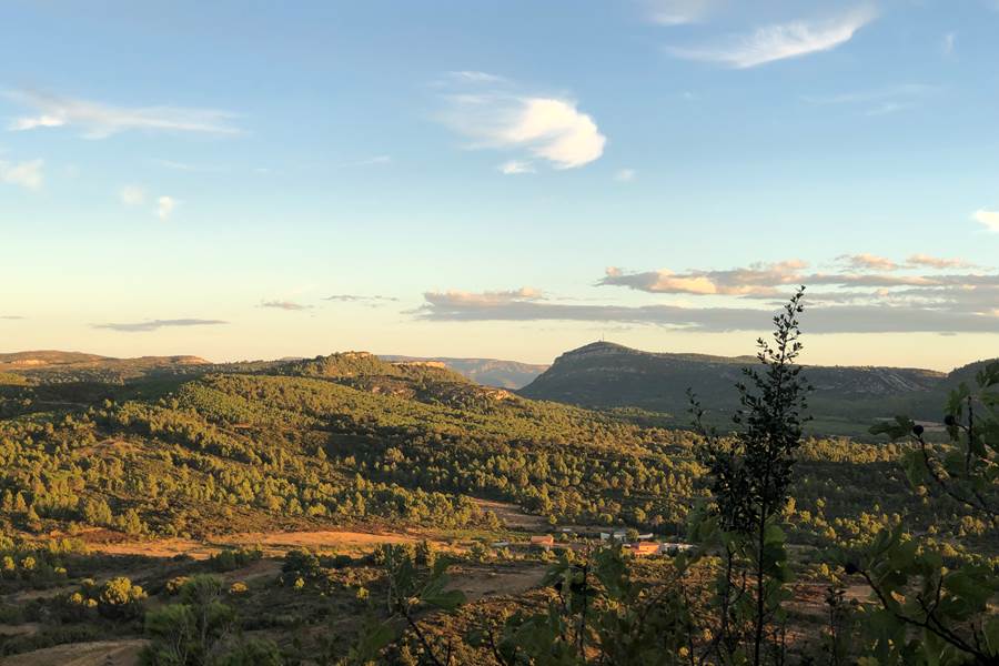 massif de Fontfroide